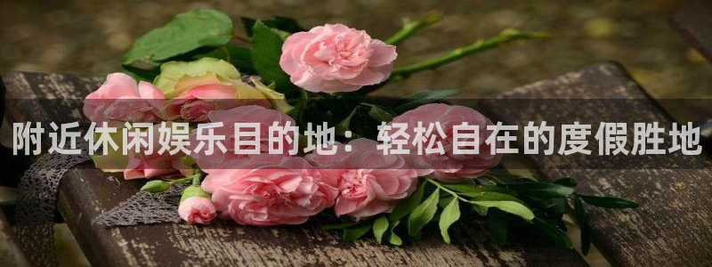 益达娱乐app下载安装