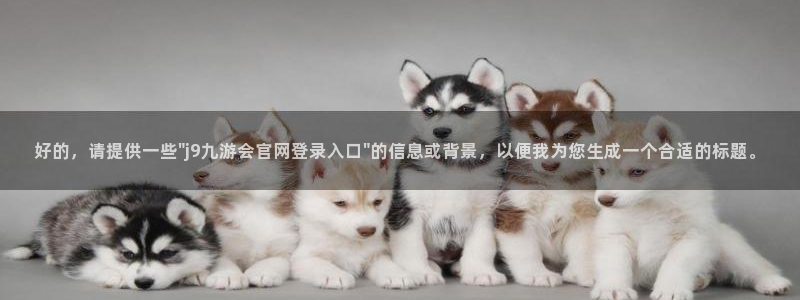 壹号下载官网入口