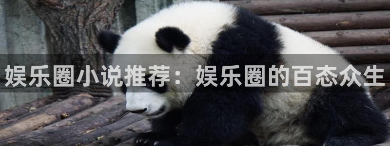 益达娱乐电子游戏官网