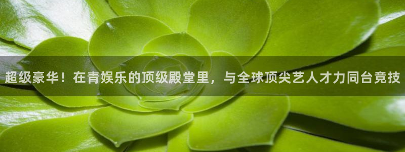 益达娱乐注册链接