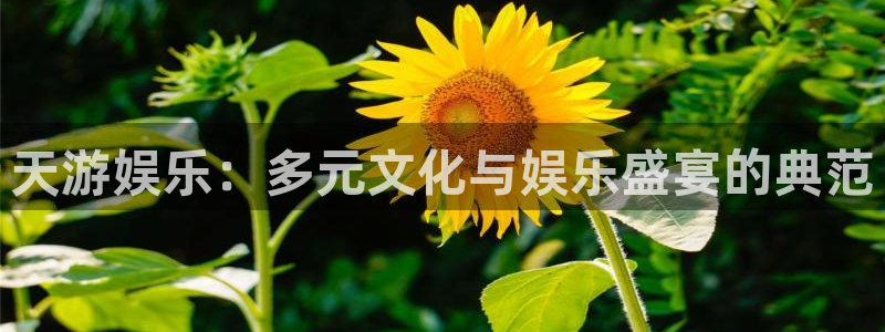 益达娱乐是大平台吗