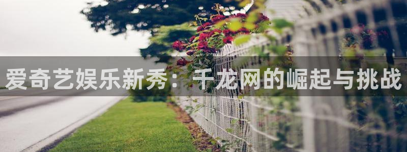 壹号国际app免费下载安装