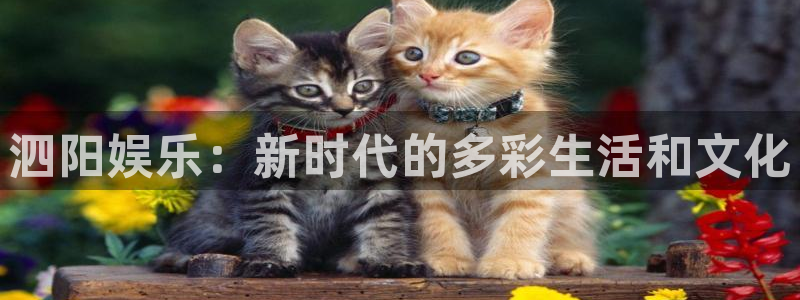 益达娱乐科技赋能,让平台更有趣