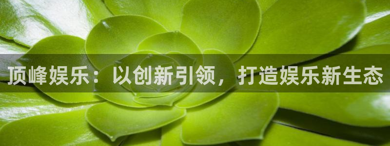 益达娱乐预测在线预测