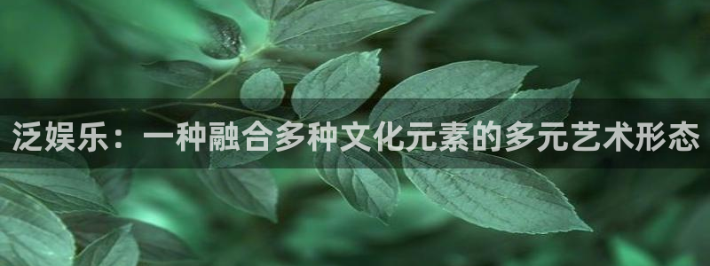 益达娱乐app下载地址：泛娱乐：一种融合多种文化元素的多元艺术形态