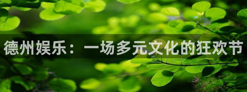 壹号app官网：德州娱乐：一场多元文化的狂欢节