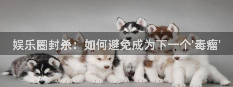 南宫益达娱乐官网下载链接：娱乐圈封杀：如何避免成为下一个\'毒瘤\'