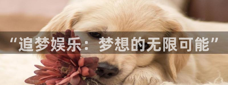 益达娱乐游戏
