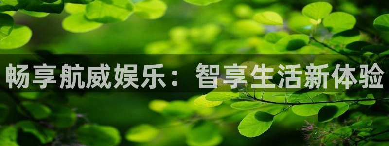 益达娱乐注册链接入口
