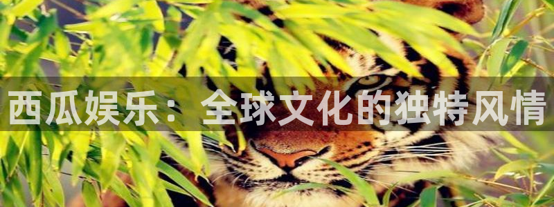 益达娱乐下载链接：西瓜娱乐：全球文化的独特风情